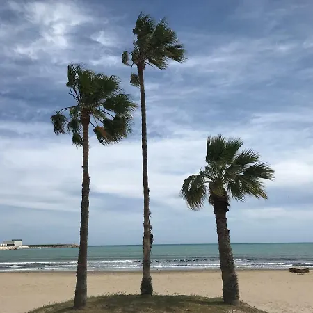 A 100m De La Playa * Torrevieja